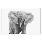 Baby-afrikanischer Elefant Seidenpapier
