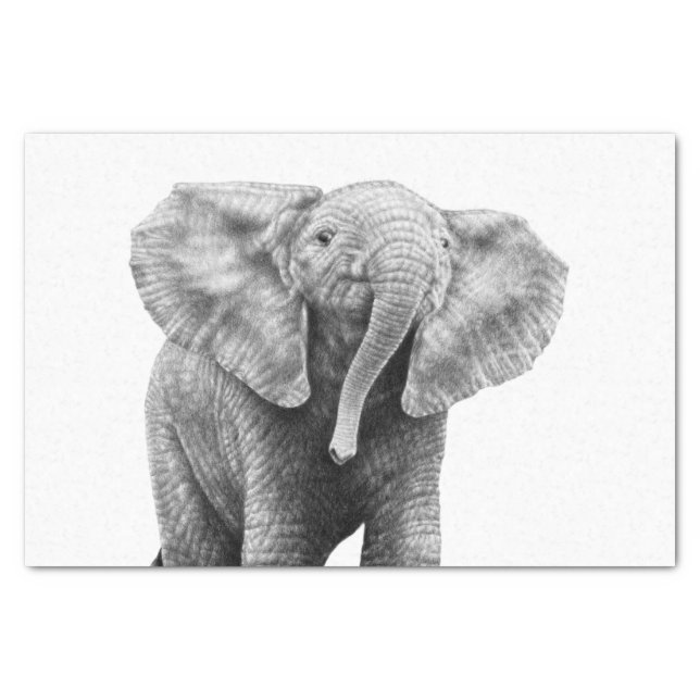 Baby-afrikanischer Elefant Seidenpapier (Vorderseite)