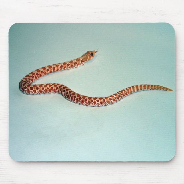 Baby-Albino Hognose Schlange Mousepad (Vorne)