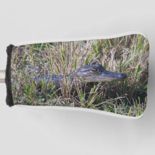 Baby Alligator Niedlich Florida Fotograf Golf Headcover