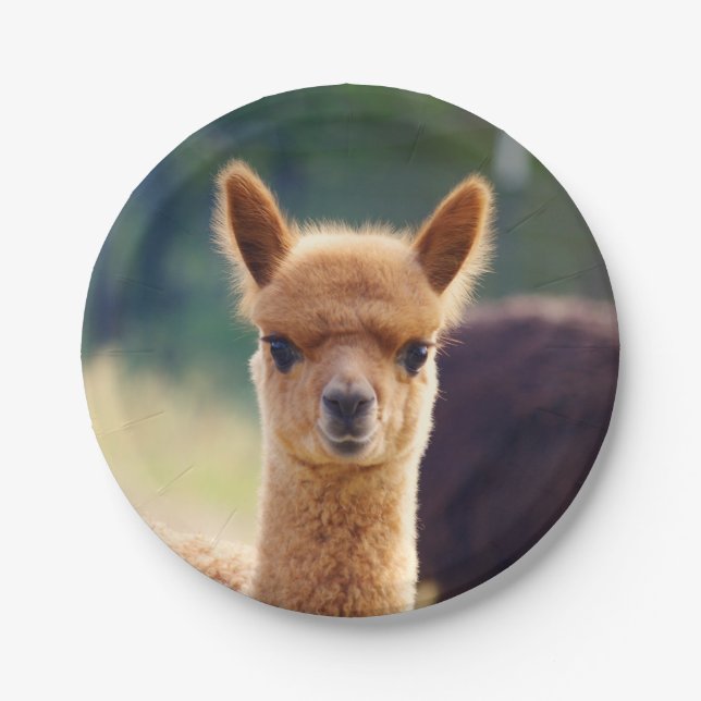 Baby-Alpaka 7 Zoll-Pappteller Pappteller (Vorderseite)
