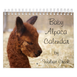 Baby Alpaka Kalender 2020
