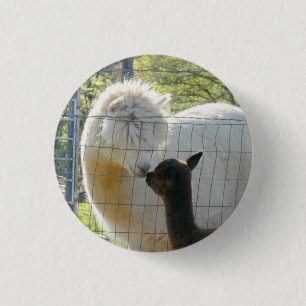 Baby-Alpaka-Kuss-Knöpfe Button