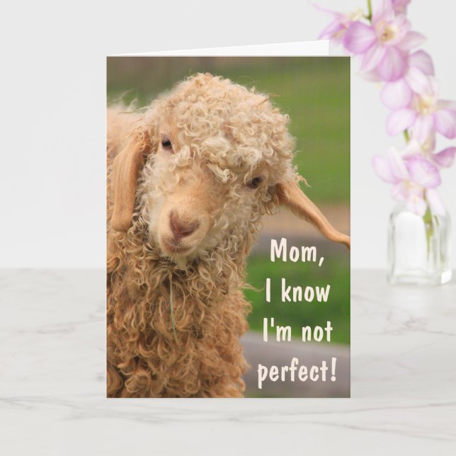 Baby Angora Goat Mother Day Karte (Orchidee)
