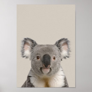 Baby Animals Kinderzimmer Poster - Koala