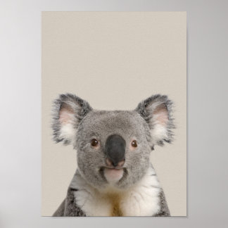 Baby Animals Kinderzimmer Poster - Koala