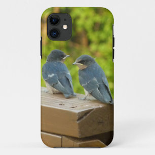 Baby-Barn-Schwalben Natur Vogel Fotografie Case-Mate iPhone Hülle