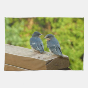 Baby-Barn-Schwalben Natur Vogel Fotografie Geschirrtuch