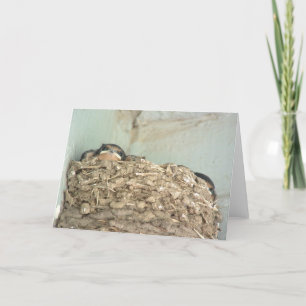 Baby Barn Swallows Greeting Card Karte
