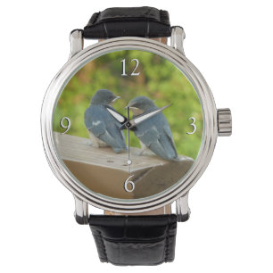 Baby Barn Swallows Nature Bird Fotografy Armbanduhr