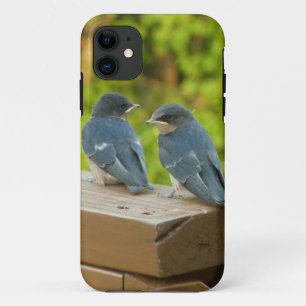 Baby Barn Swallows Nature Bird Fotografy Case-Mate iPhone Hülle