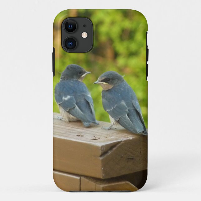 Baby Barn Swallows Nature Bird Fotografy Case-Mate iPhone Hülle (Rückseite)