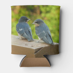 Baby Barn Swallows Nature Bird Fotografy Dosenkühler