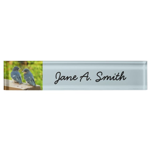 Baby Barn Swallows Nature Bird Fotografy Namensplakette (Vorderseite)