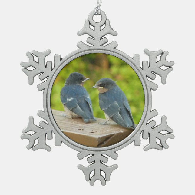 Baby Barn Swallows Nature Bird Fotografy Schneeflocken Zinn-Ornament (Vorderseite)