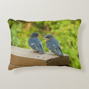 Baby Barn Swallows Nature Bird Fotografy Zierkissen