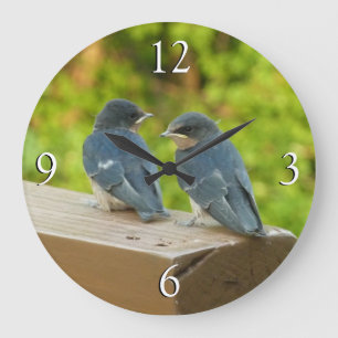 Baby Barn Swallows Nature Bird Photography Große Wanduhr
