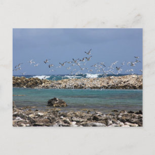 Baby Beach Postkarte