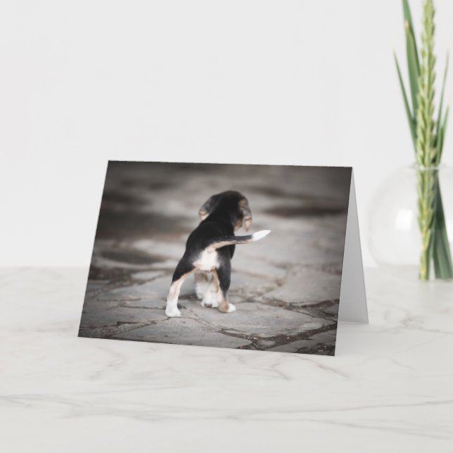 Baby Beagle Bottom Karte (Vorderseite)