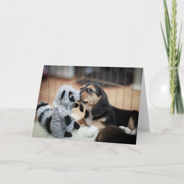 Baby Beagle und ihr neues Spielzeug Karte (Vorderseite)