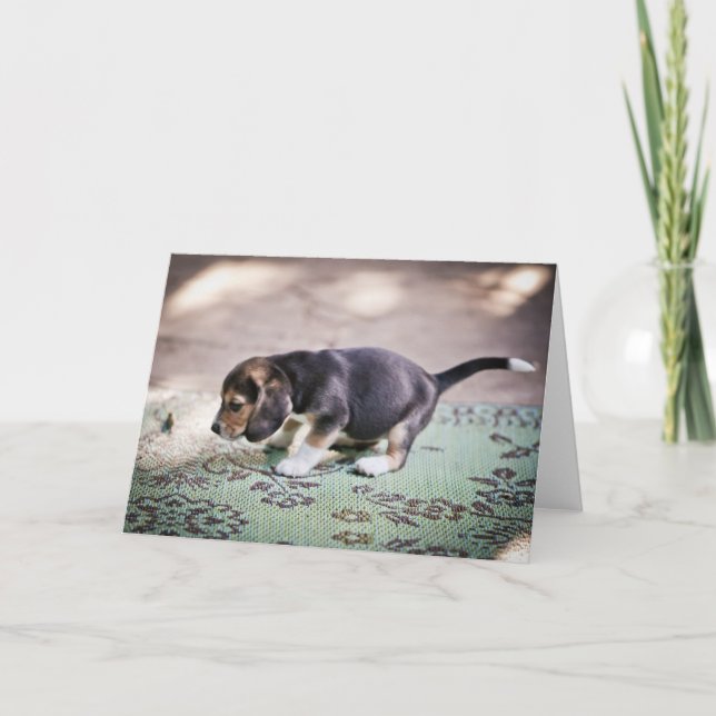 Baby Beagle und Leaf Karte (Vorderseite)