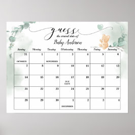Baby Bear Shows Ratschlag Fälligkeitsdatum Kalende Poster