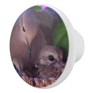 Baby-beklagentauben-Vogel-Tier-Tier-Nest-Griff Keramikknauf