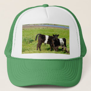 Baby Belted Galloway Calves, Truckers Hat Truckerkappe