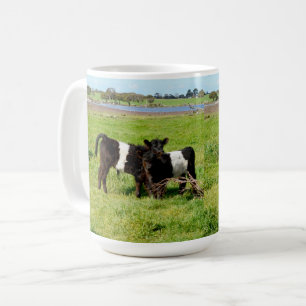 Baby Belted Galloway Kühe auf dem Land, Kaffeetasse