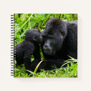 Baby-Berggorilla küsst Silberrücken-Gorilla Notizbuch
