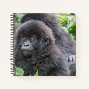 Baby-Berggorilla Notizbuch