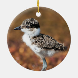 Baby Bird Keramik Ornament