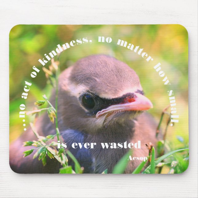 Baby Bird-Kindness-Zitat Inspiration Mousepad (Vorne)