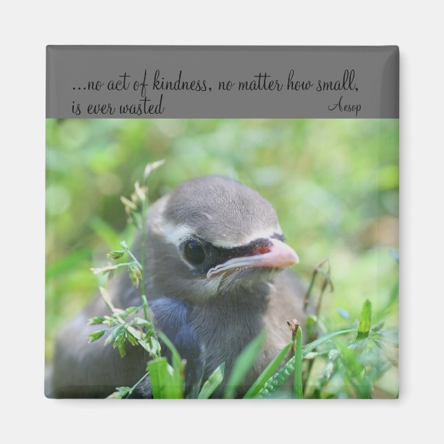 Baby Bird-Kindzitat Inspiration Magnet (Vorne)