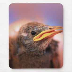 Baby Bird Mousepad