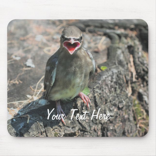 Baby Bird Nature Fotografy Mousepad (Vorne)