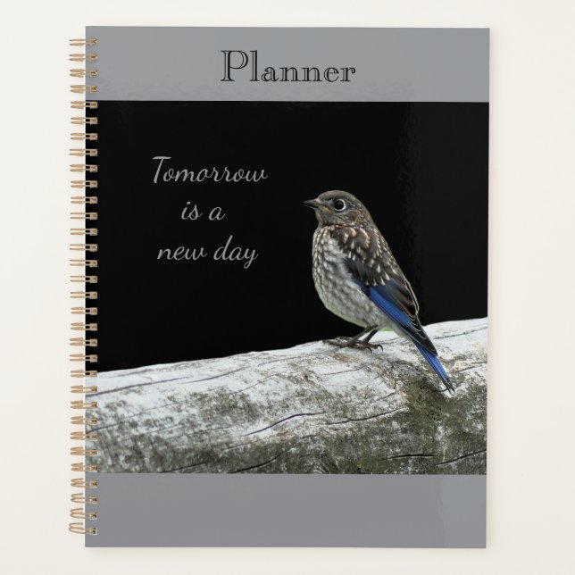 Baby Bird Planner Planer (Vorderseite)