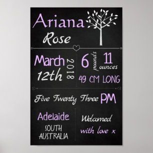 Baby Birth Stats Custom Wall Print - Lila Chalk Poster