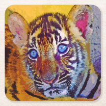 Baby Blue Eyes Tigerbaby