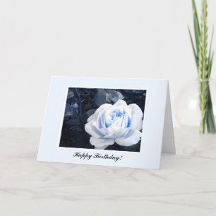 Baby Blue Rose Karte