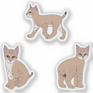 Baby Bobcats Aufkleber