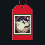 Baby Boston Bull Christmas Geschenkanhänger<br><div class="desc">Geschenketiketten,  Packpapier,  Band,  Aufkleber,  alle in einer Sammlung von unwiderstehlichen Boston Bull Puppy Sammlung erhältlich.</div>