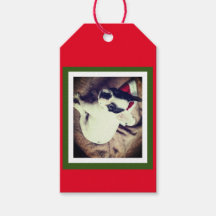 Baby Boston Bull Christmas