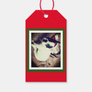 Baby Boston Bull Christmas Geschenkanhänger