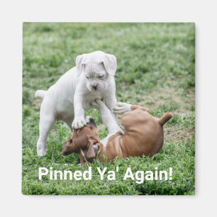 Baby Boxer Welppies Magnet