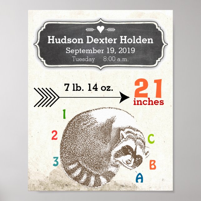 Baby Boy Birth Stats Niedlich Raccoon und Arrow Poster (Vorne)
