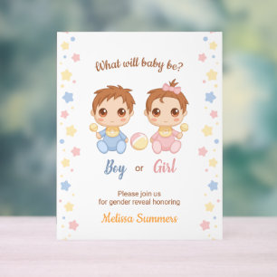 Baby Boy Girl Gender Reveal Party Acrylschild