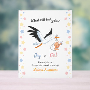 Baby Boy Girl Stork Genre Reveal Party Invitation