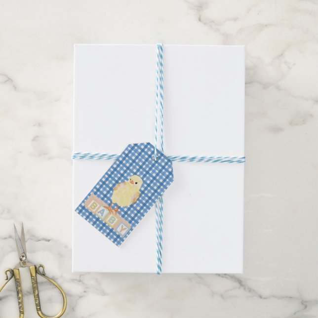 Baby Boy Little Chick Blue Gingham Geschenkanhänger (Mit Garn)
