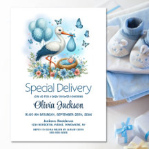 Baby Boy Special Delivery Stork Baby Dusche